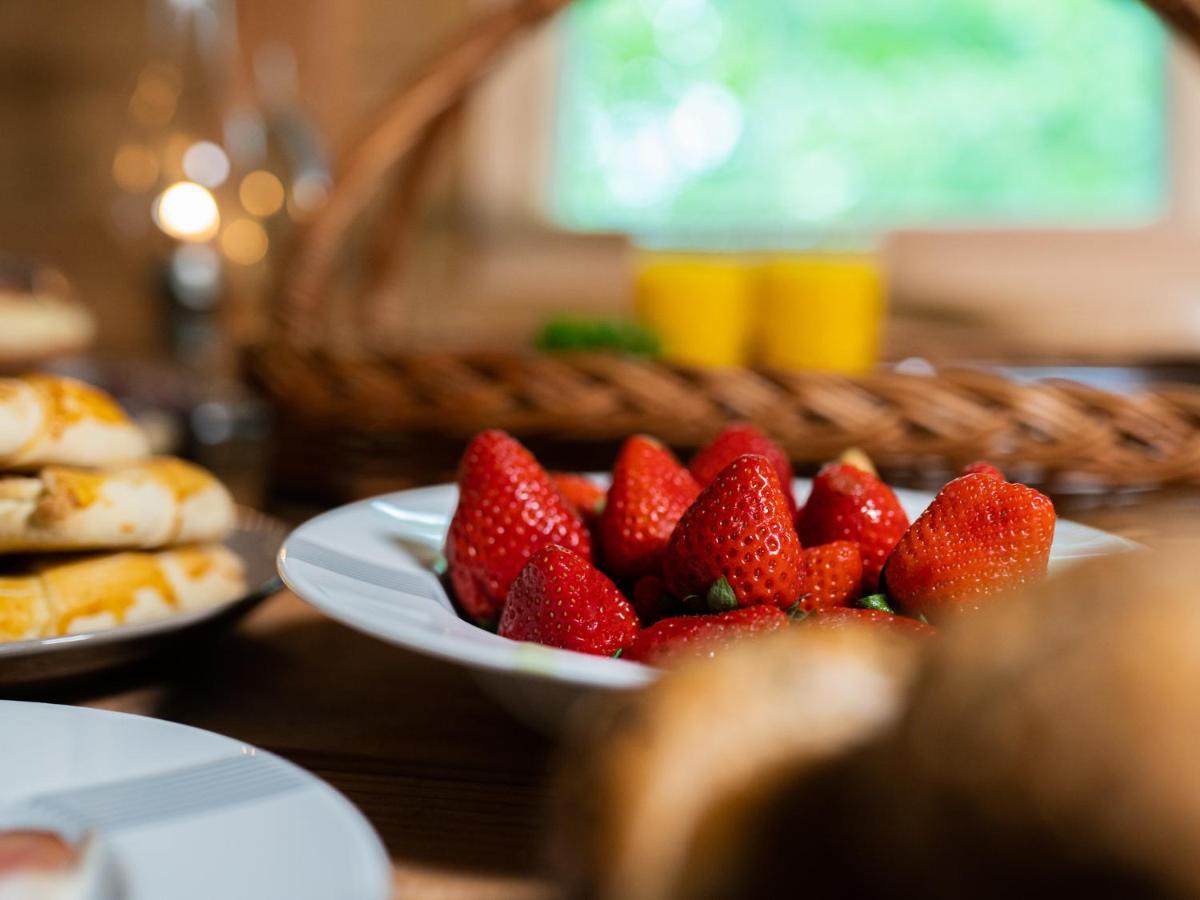 Treehous Sneznik S Wellness 호텔 Dolní Morava 외부 사진