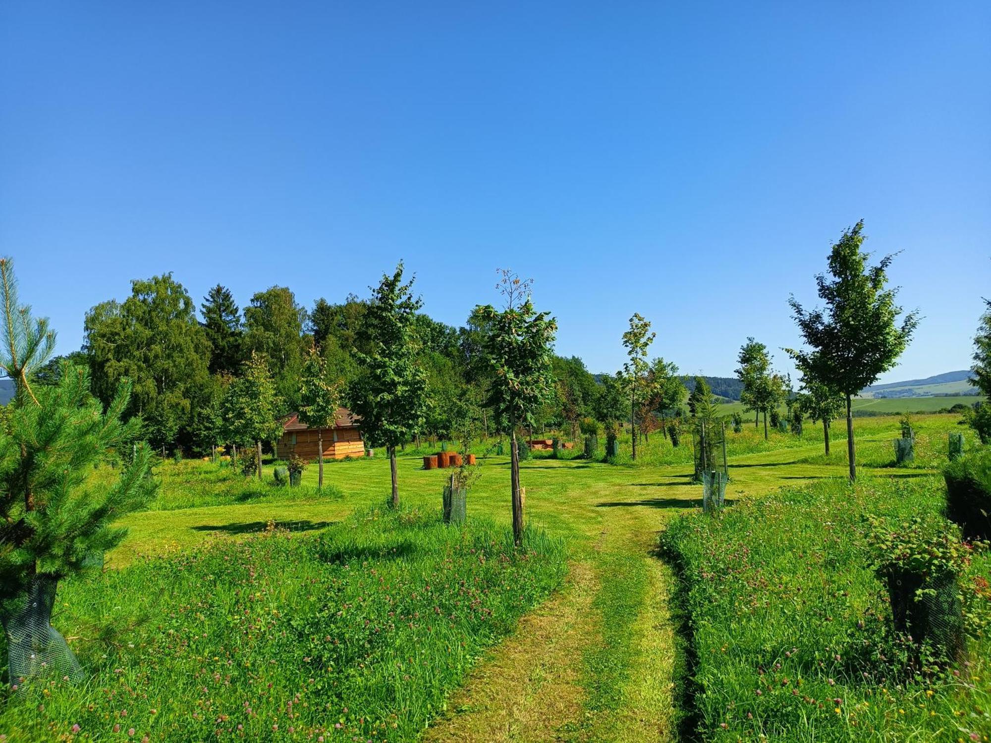 Treehous Sneznik S Wellness 호텔 Dolní Morava 외부 사진